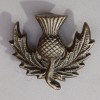 Scottish Thistle Brass Antique Metal Badge