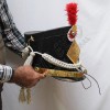 British Shako Hat With Red Hackle And French grenadier Shako Plate
