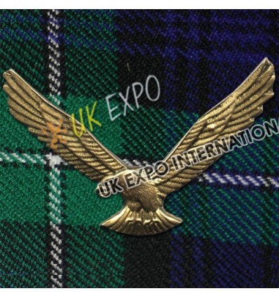 American Eagle Metal Badge