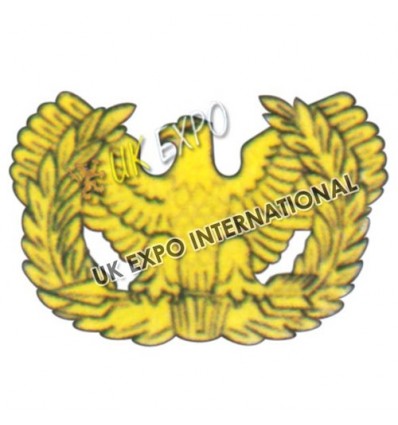 Battalion Sergenat Major