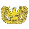 Battalion Sergenat Major