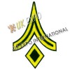 Battalion Sergenat Major