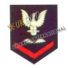 Battalion Sergenat Major