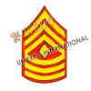 Battalion Sergenat Major