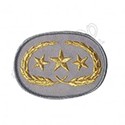 CS Officers Collar Rank Badges